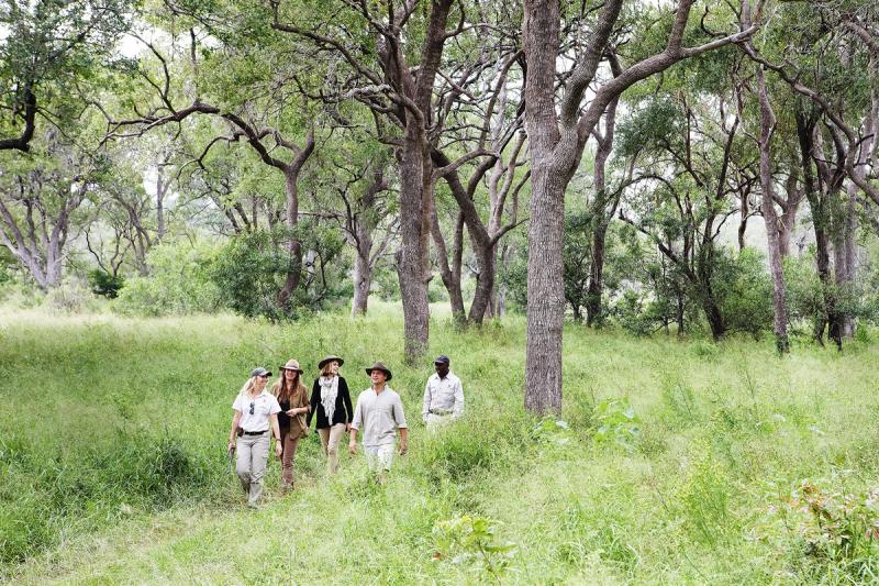 bush walk activities at Londolozi
