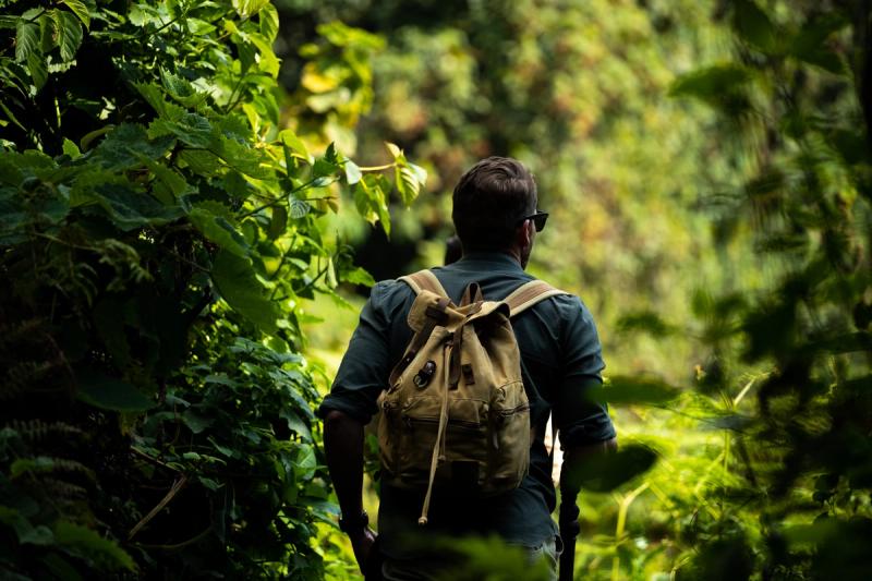 Man on a gorilla trekking adventure in Rwanda