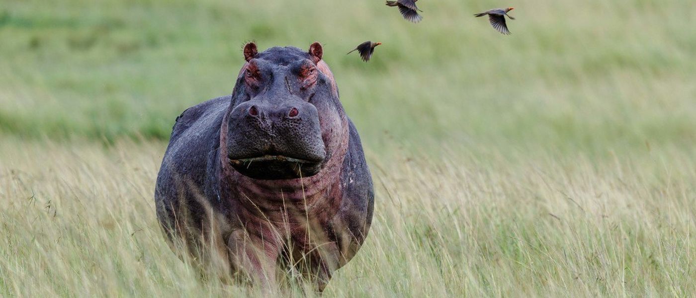 A Taste of APOTY's Top Entries