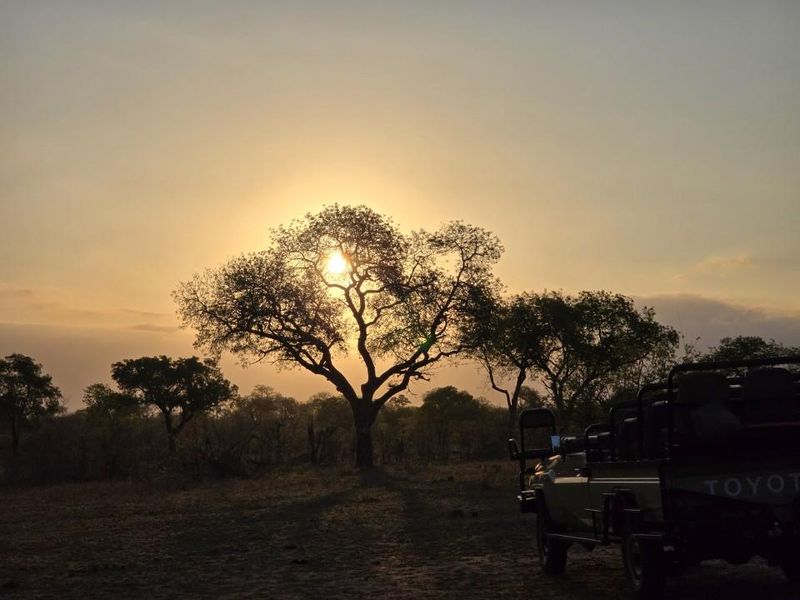 L'Afrique, une source infinie de leçons
