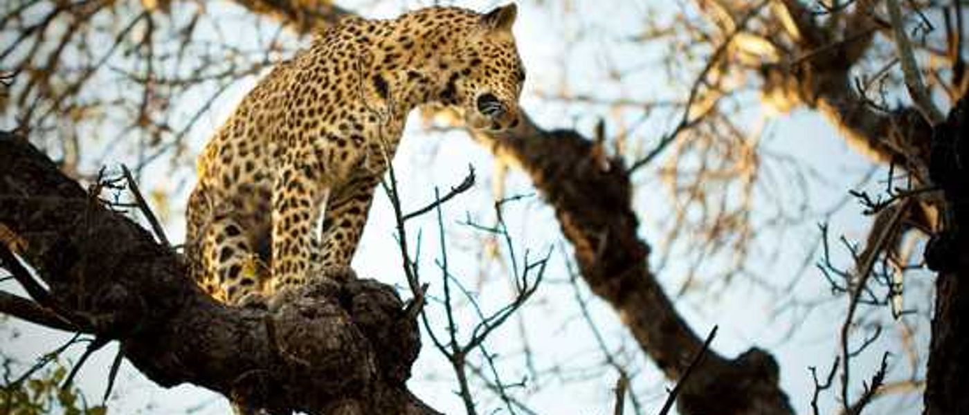 The Chitwa Chitwa Experience in Pictures