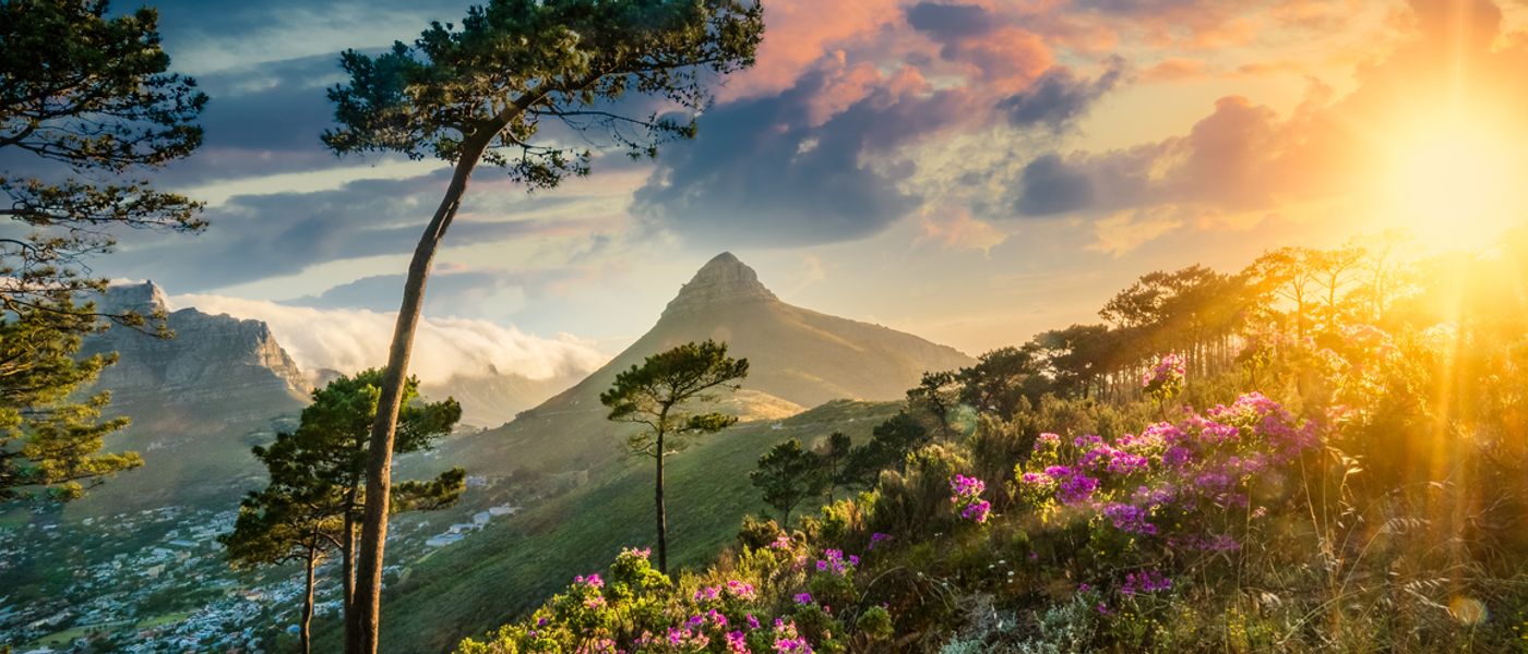 7 Best Hikes in Cape Town