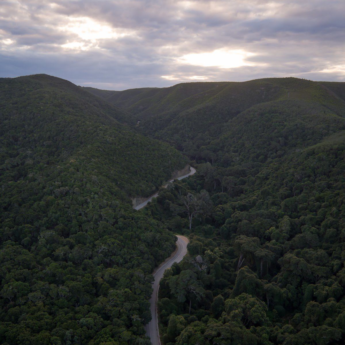 Side-Track: The Marvellous Meander to Greyton