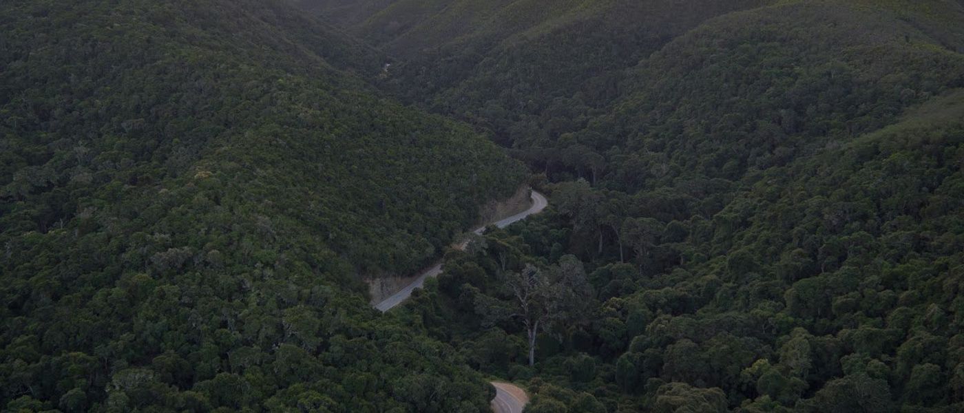 Side-Track: The Marvellous Meander to Greyton