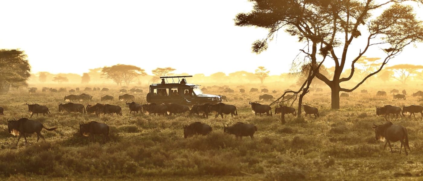 Die beste Reisezeit für die Serengeti