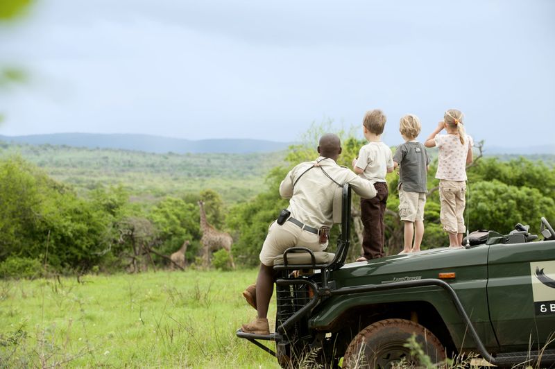 Lush safari with kids at Phinda Forest Lodge
