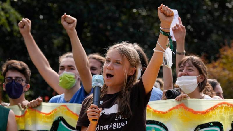 Greta Thunberg at a Fridays for Future climate strike