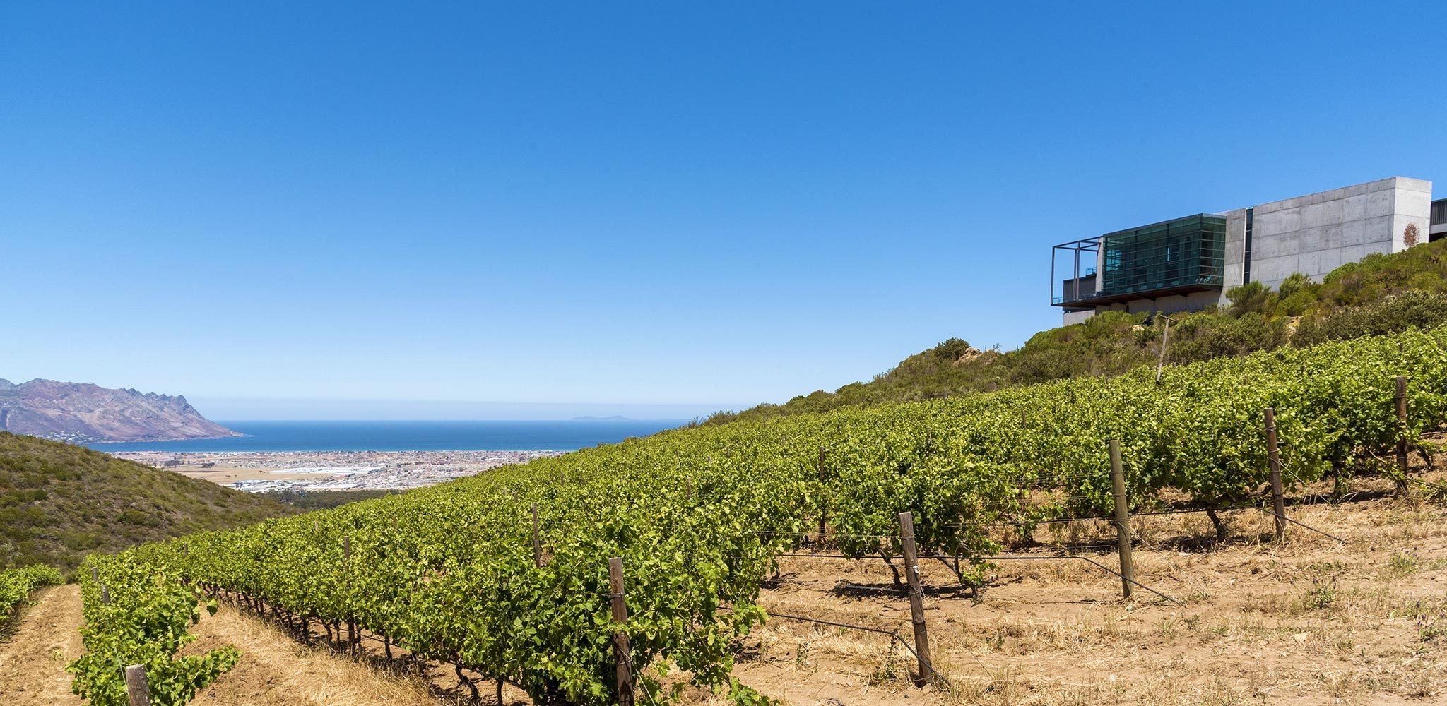 Our Favourite Restaurants in Somerset West