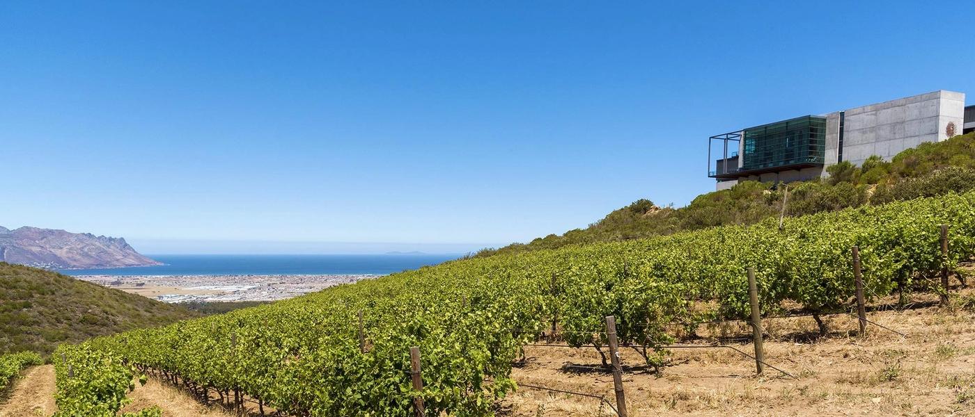 Our Favourite Restaurants in Somerset West