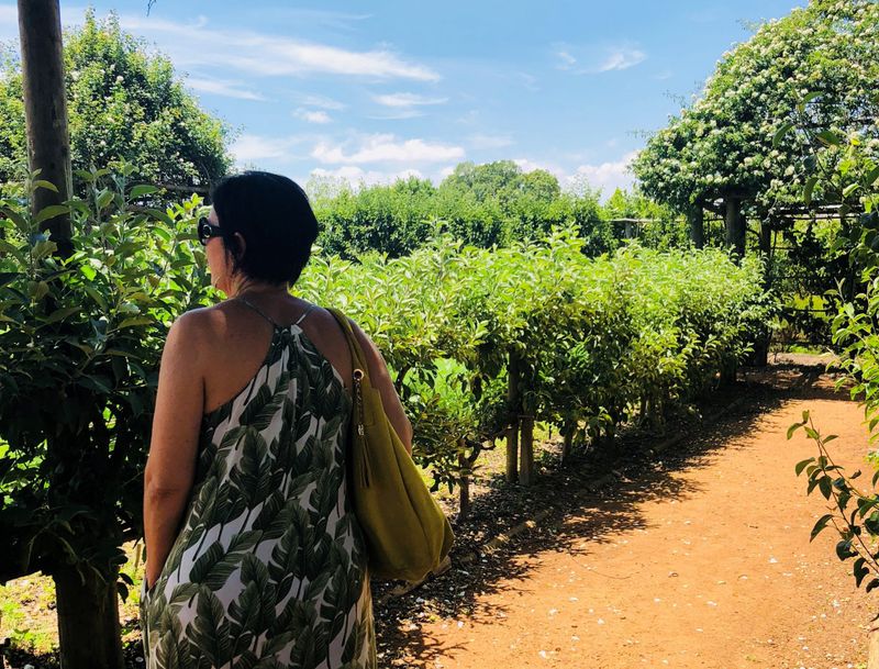 Wandering through Babylonstoren's Gardens