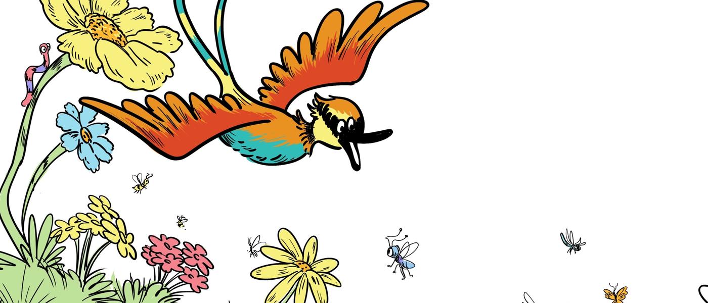 Bella the Bee-Eater’s Bold Adventure