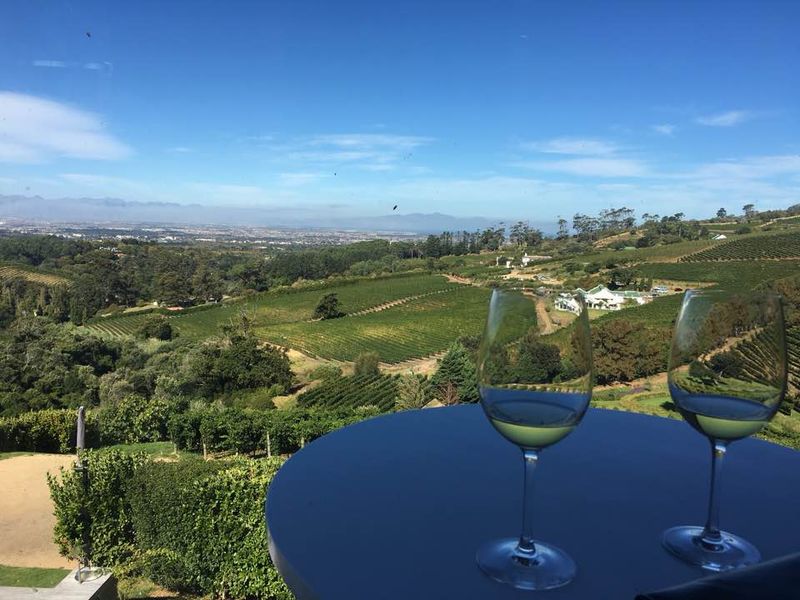 The incredible view from the Beau Constantia tasting room