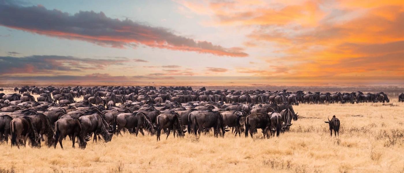 África Oriental está lista para darle la bienvenida