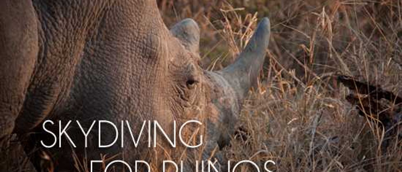 World Rhino Day 2012