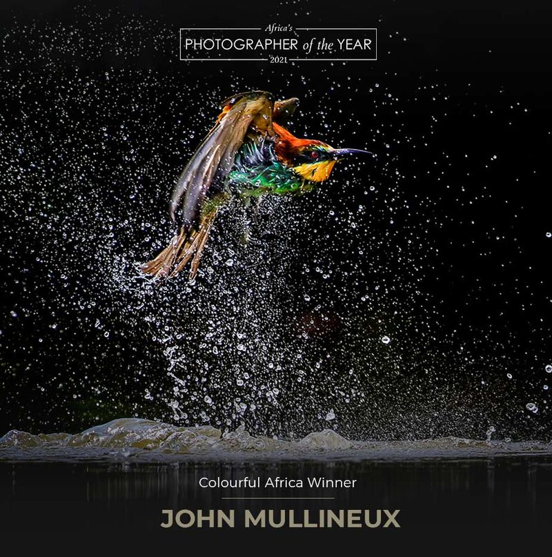 apoty colourful africa