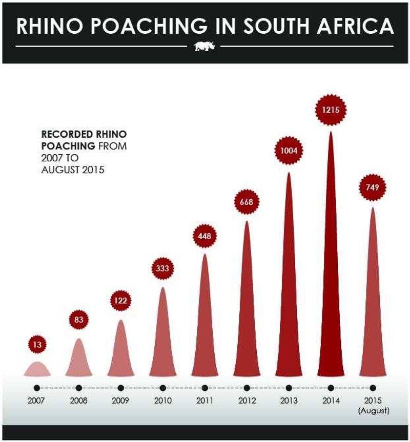 Rhino Poaching stats in South Africa