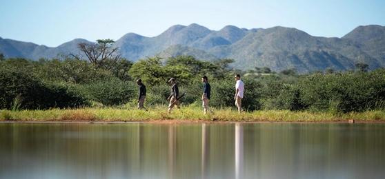 Les 5 Questions les Plus Posées sur les Safaris à Pied
