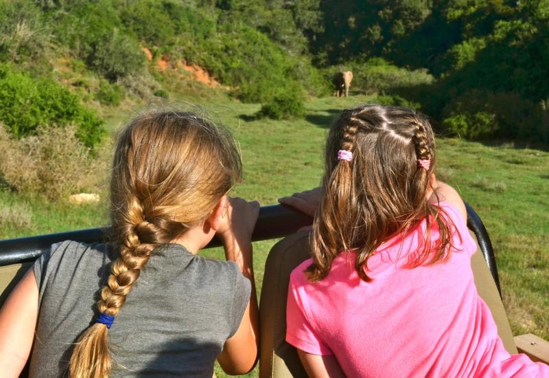 Two young girls with braided hair sit on the back of a safari vehicle, gazing at an elephant in the distance amidst lush green vegetation.