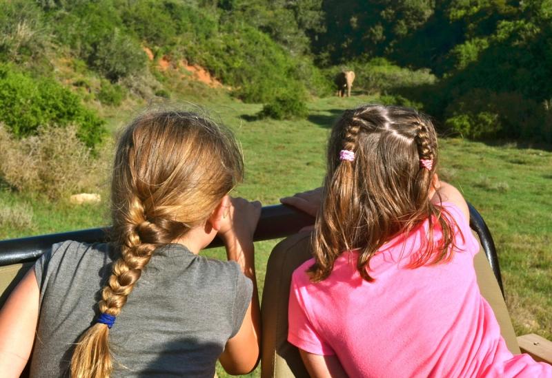 Two young girls with braided hair sit on the back of a safari vehicle, gazing at an elephant in the distance amidst lush green vegetation.