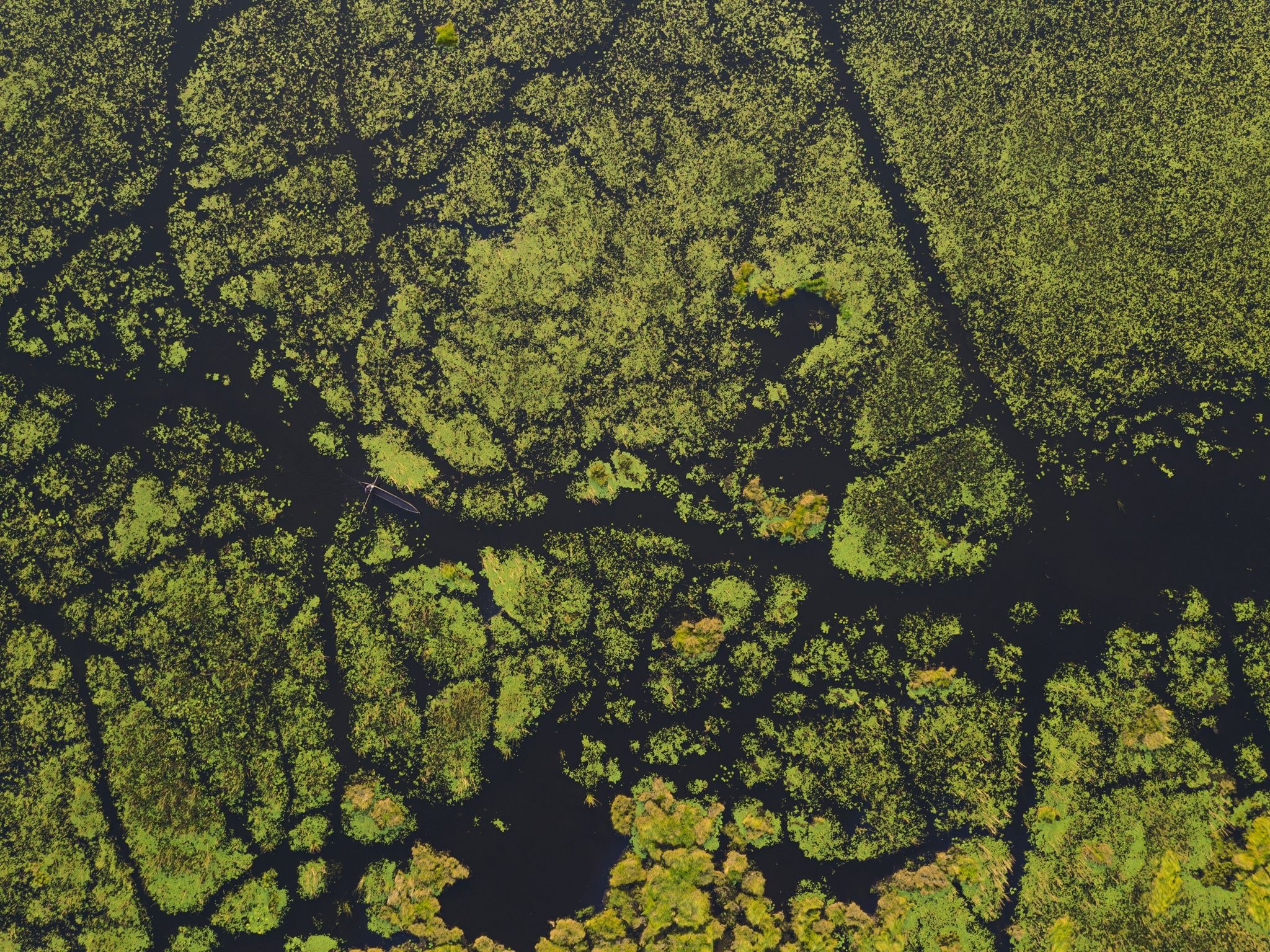 8 Things You Didn't Know About the Okavango Delta in Botswana