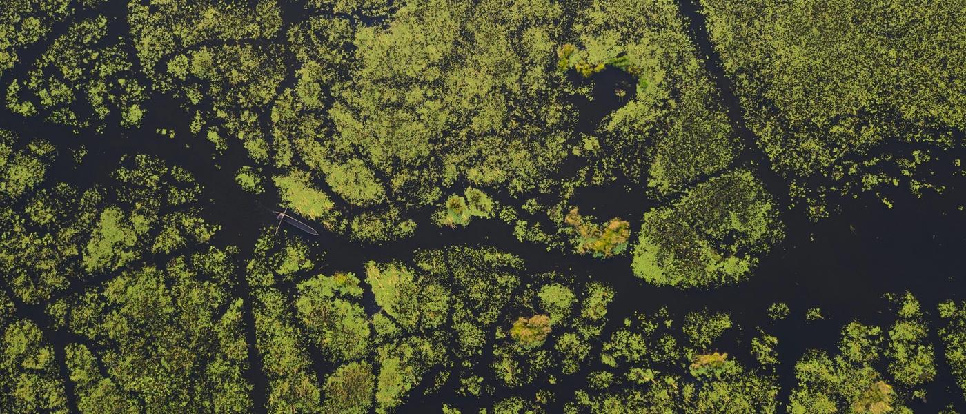 8 Things You Didn't Know About the Okavango Delta in Botswana