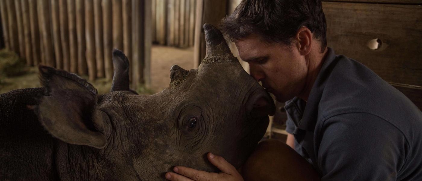 Trabajando por un África mejor: entrevista con Wildlife ACT