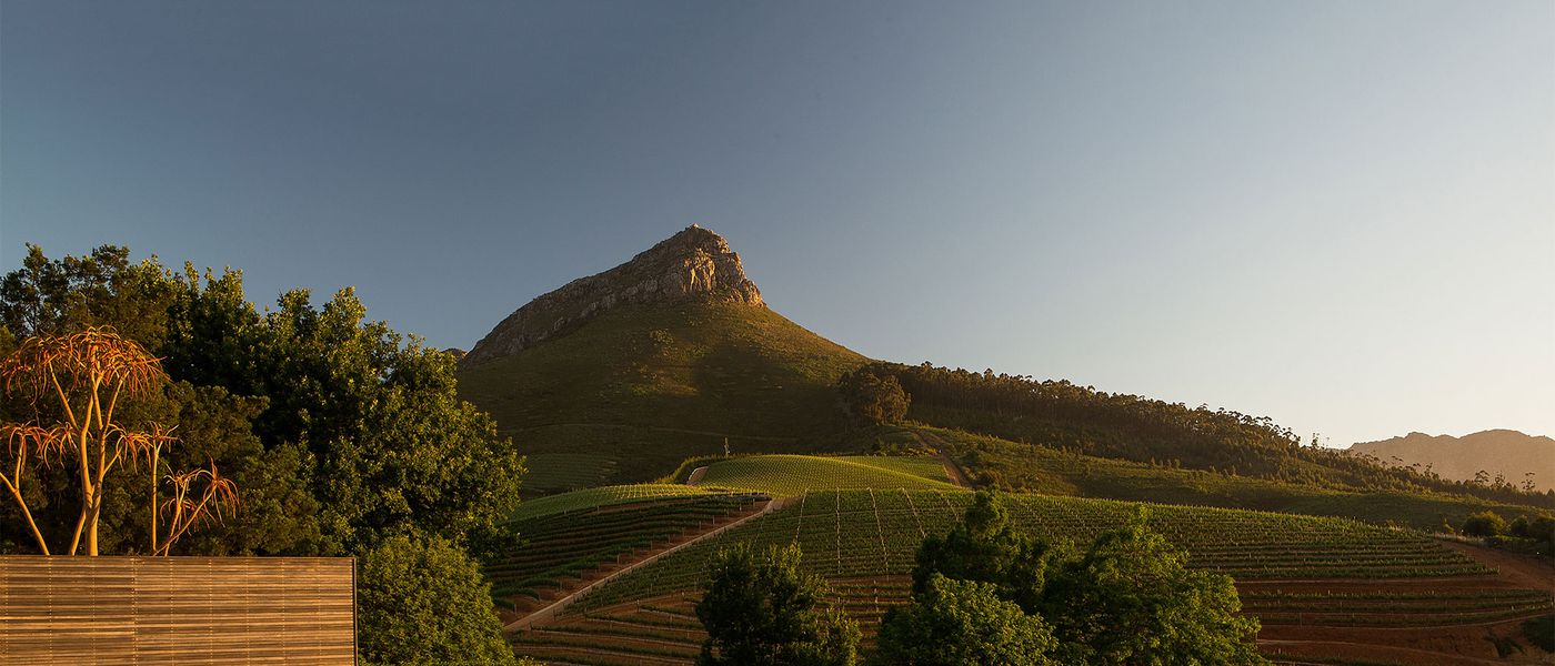 Un itinéraire à travers la Route des Vins du Cap