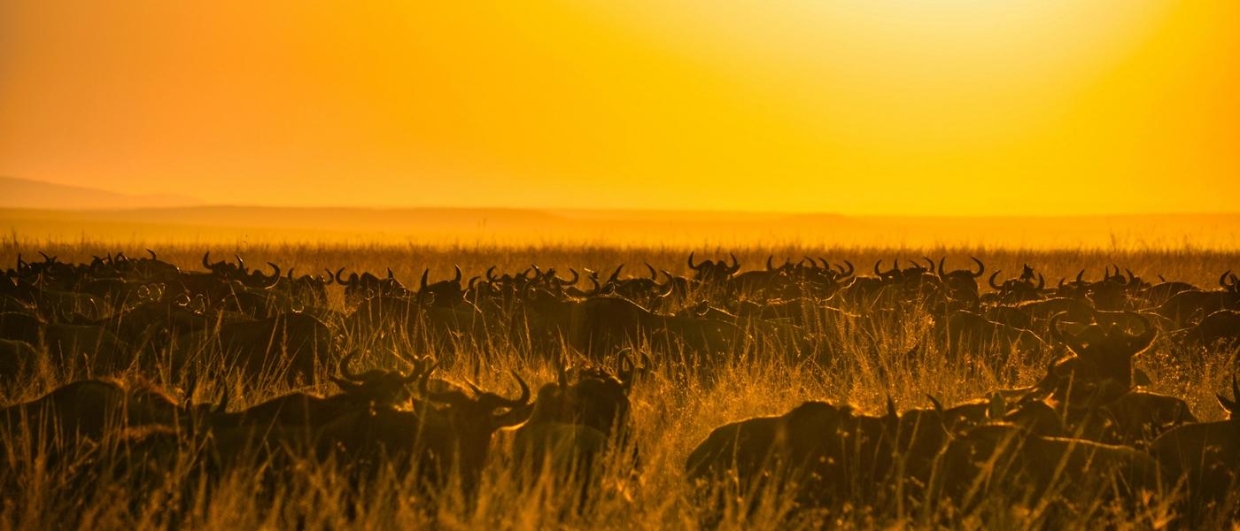 African Travel in March