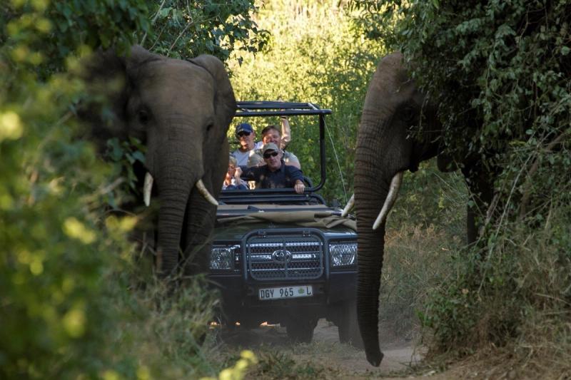 Tu vehículo de safari te está esperando.