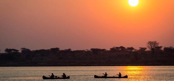 Fauna y Cataratas: Un Itinerario de Safari por Zimbabue y Zambia