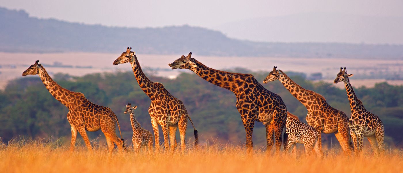 26 Zeichen, dass Sie schon mal in Afrika waren