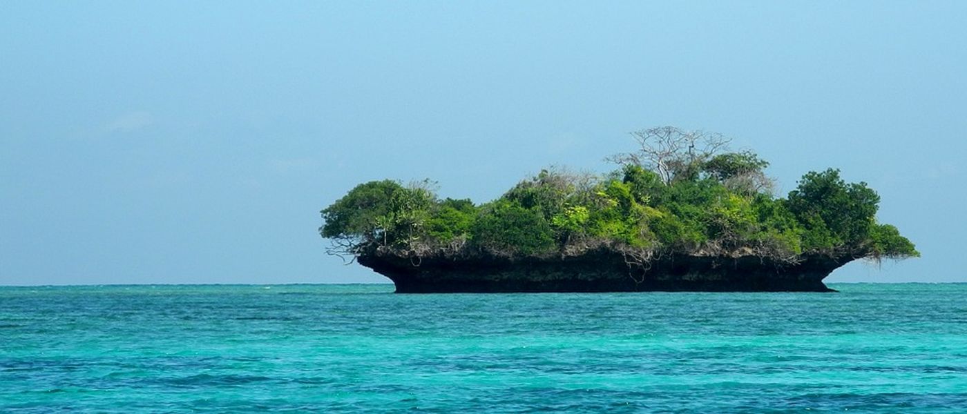A Message in a Bottle from Zanzibar