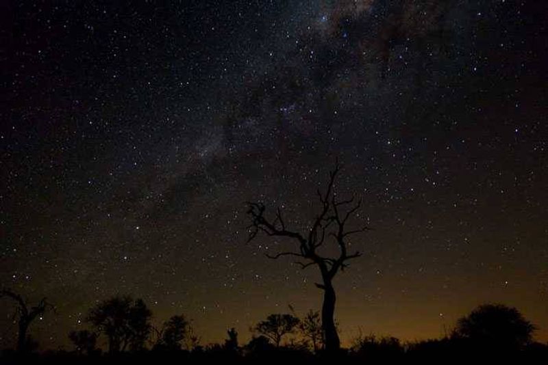 Nuit à la belle étoile en Afrique à Sbi Sand. Vacances romantiques à Sabi Sand en Afrique du Sud pour un voyage safari de luxe. 
