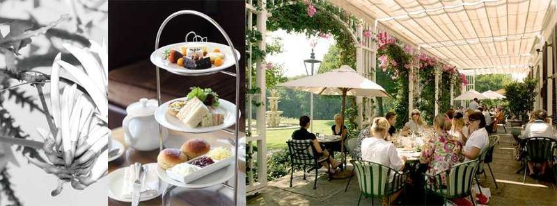 The Vineyard Hotel is picture pretty