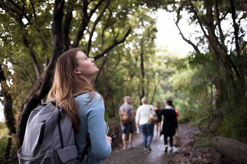 Allison Bothma, a Rhino Africa travel expert, exploring a forested area