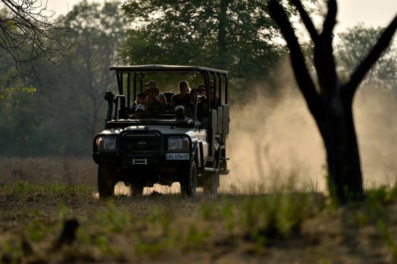 Game drive in Gorongosa National Park
