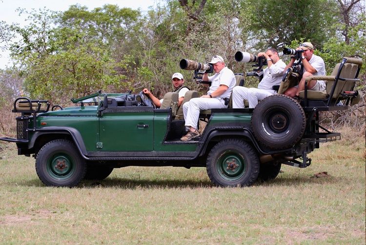 Veículos adaptados facilitam o trabalho de fotógrafos em busca dos melhores cliques de vida selvagem