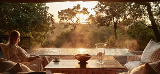 5 Raisons de Visiter l'Afrique du Sud en 2025