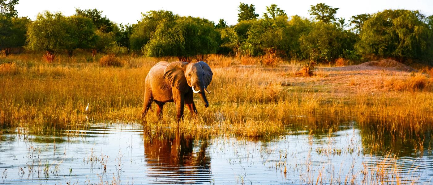 Why Your Next Holiday Should be a Lake Kariba Safari