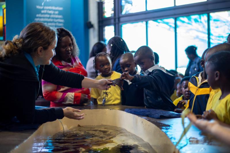 Ausflug ins Aquarium, eine Initiative, die den Kindern die Welt des Ozeans näherbringt