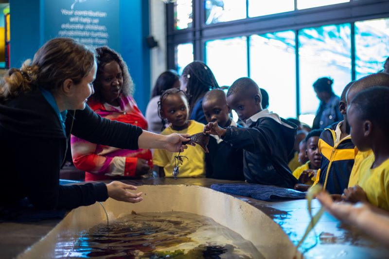 Ausflug ins Aquarium, eine Initiative, die den Kindern die Welt des Ozeans näherbringt