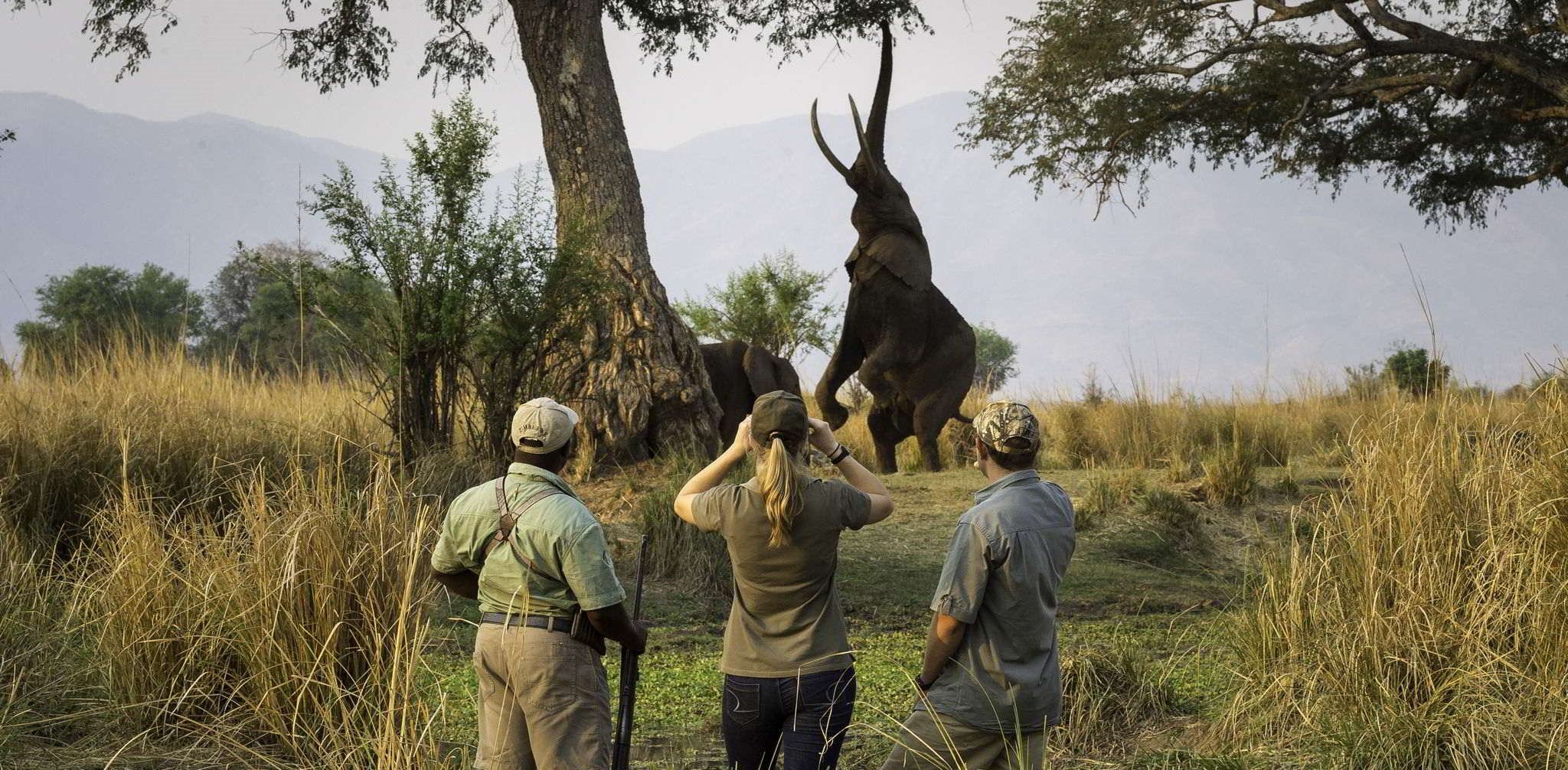5 Things to Love About Mana Pools