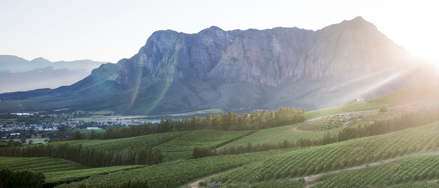 La Route des Vins | Afrique du Sud
