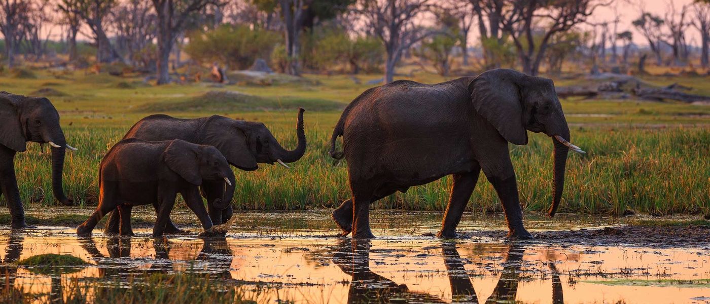 Wann ist die beste Reisezeit für Botswana?