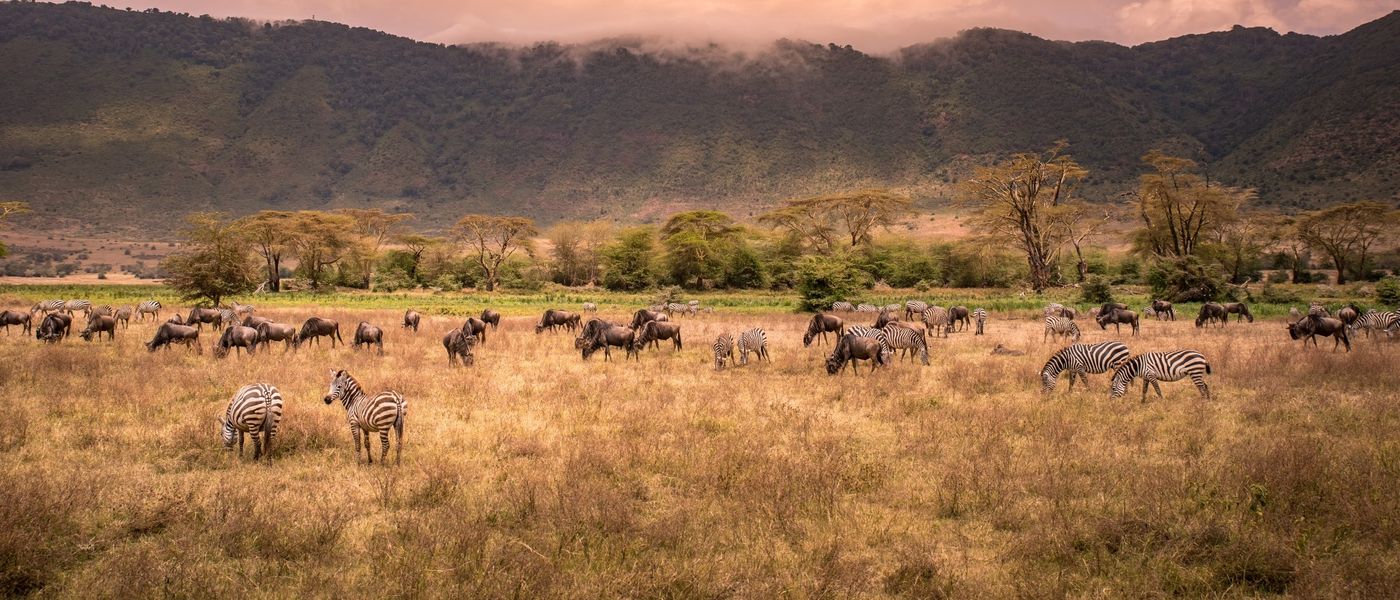 Why Ngorongoro Crater Safaris Stand Out