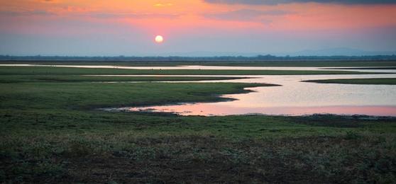 Parque Nacional de Gorongosa: Explorando el milagro de Mozambique