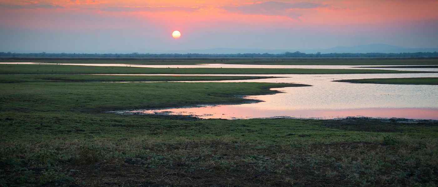 Gorongosa National Park: Exploring the Mozambique Miracle