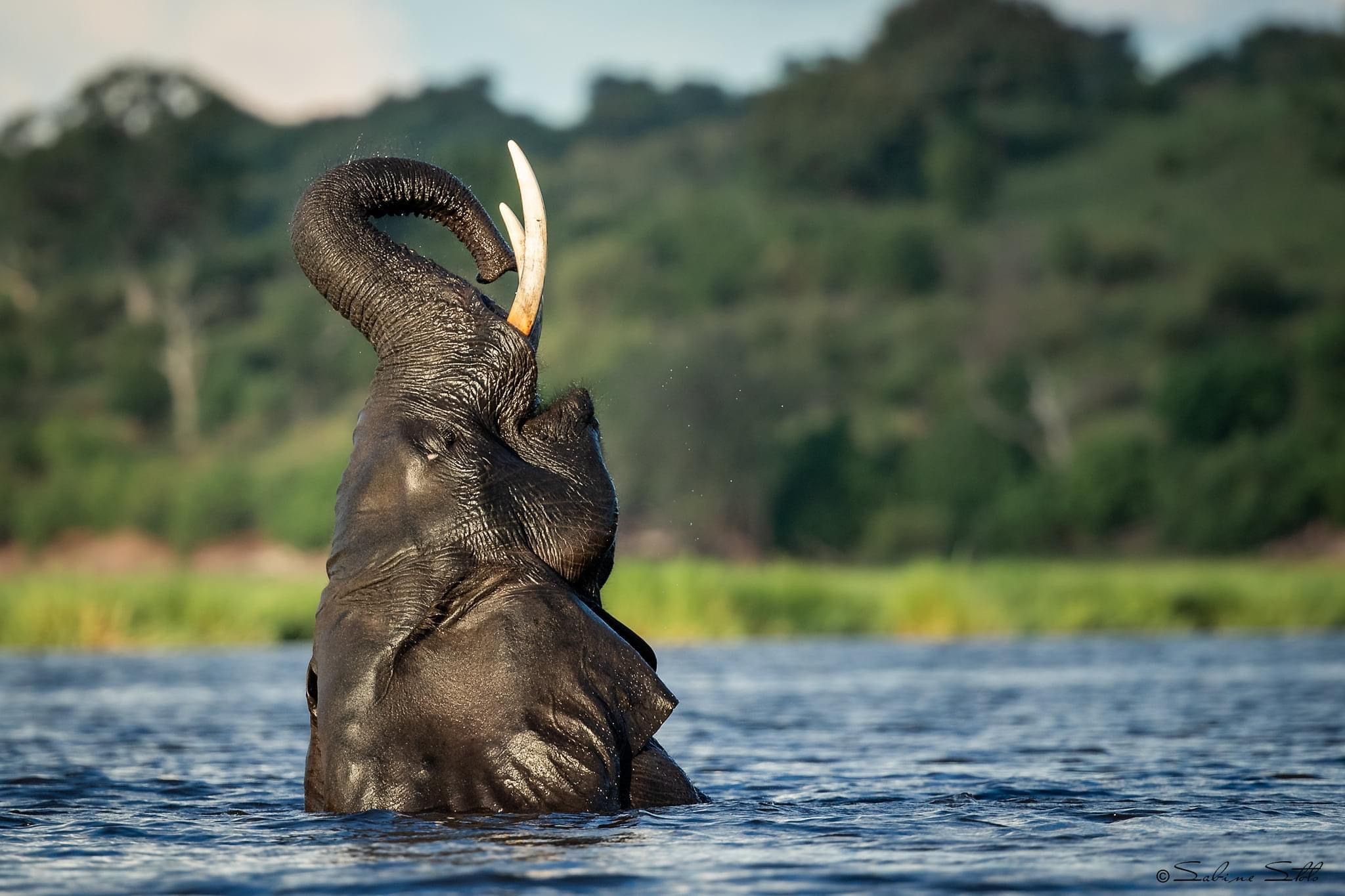 Why I Loved Visiting Botswana in April (And Why You Will, Too)