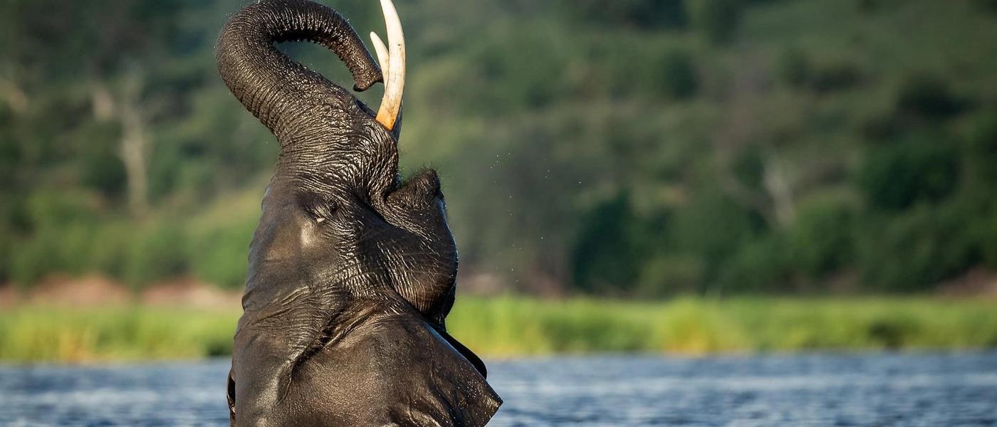 Why I Loved Visiting Botswana in April (And Why You Will, Too)