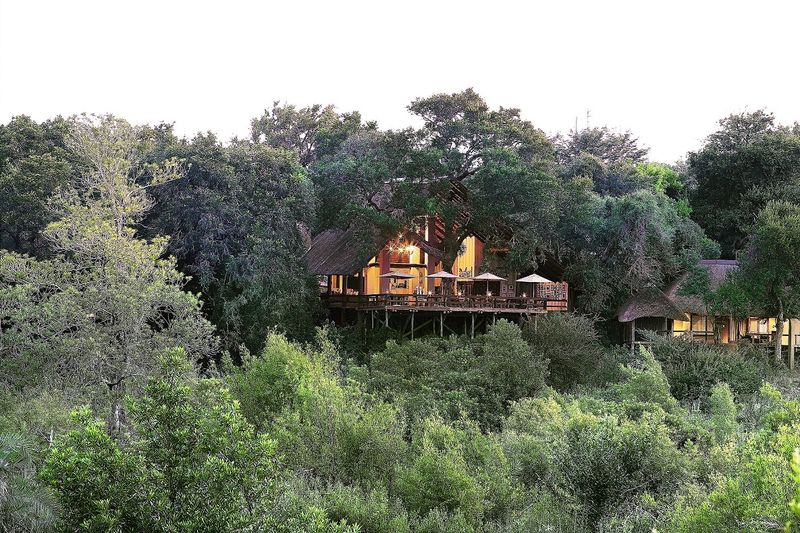 Londolozi Varty Camp hugged by the surrounding trees